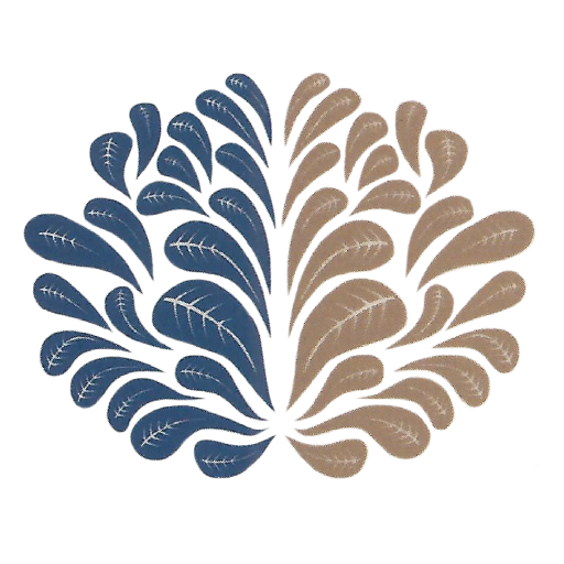 Liam Rojas Psicologia